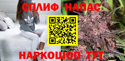 гидра Бузулук