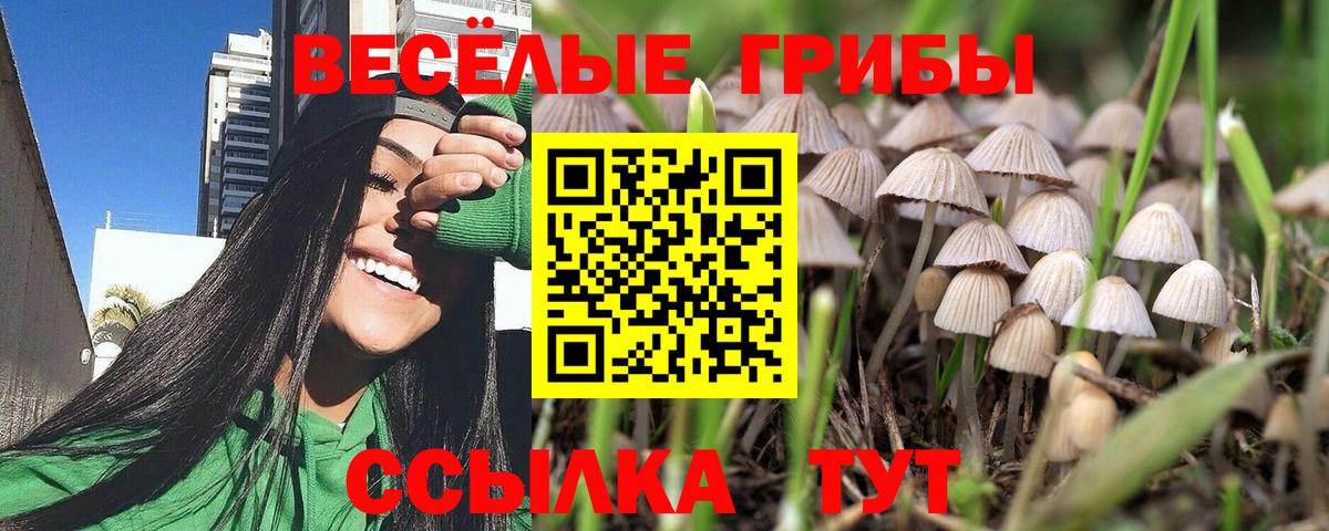 Псилоцибиновые грибы ЛСД  Вход с VPN  Лыткарино 